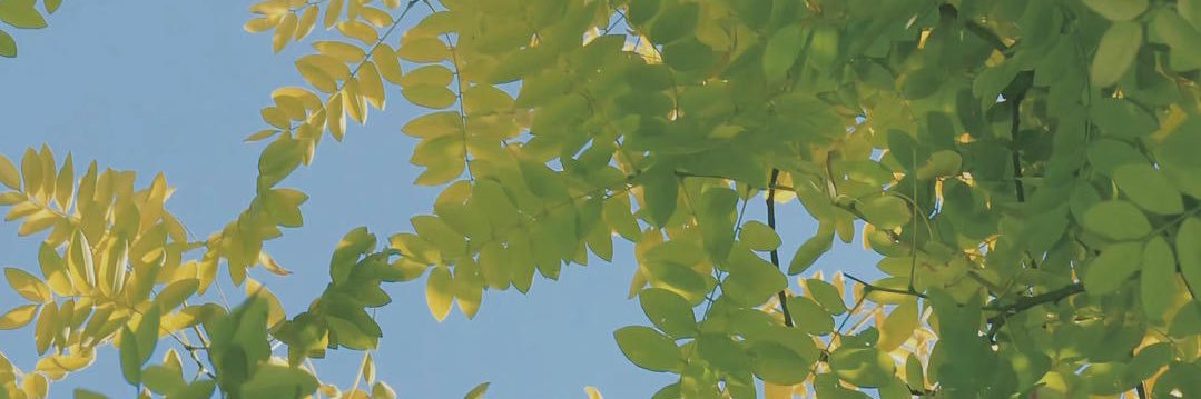 NeoBeingReal banner