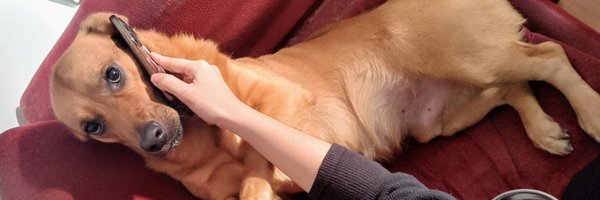 tex_summers Profile Banner