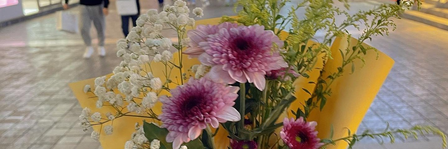 Anna_Caer's profile banner image