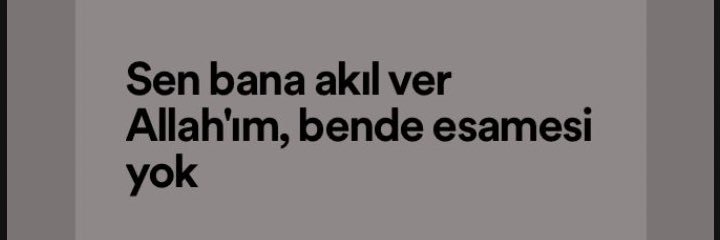 aslı banner