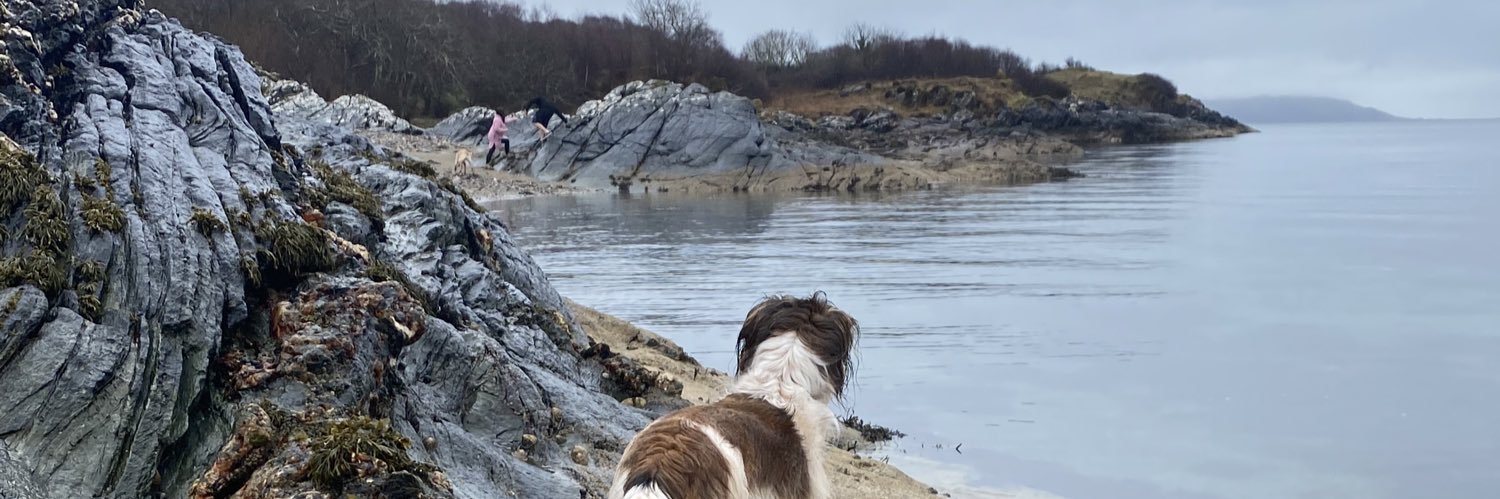 Lauren Taylor banner