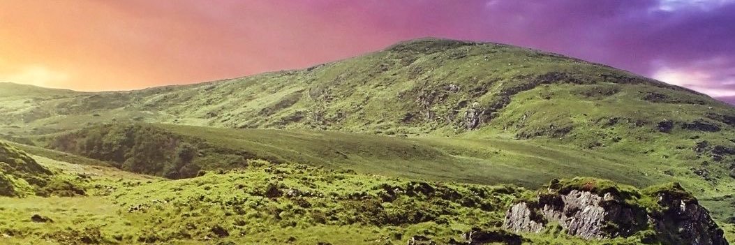 sissyhankshaw 🏳️‍🌈 🇵🇸 banner