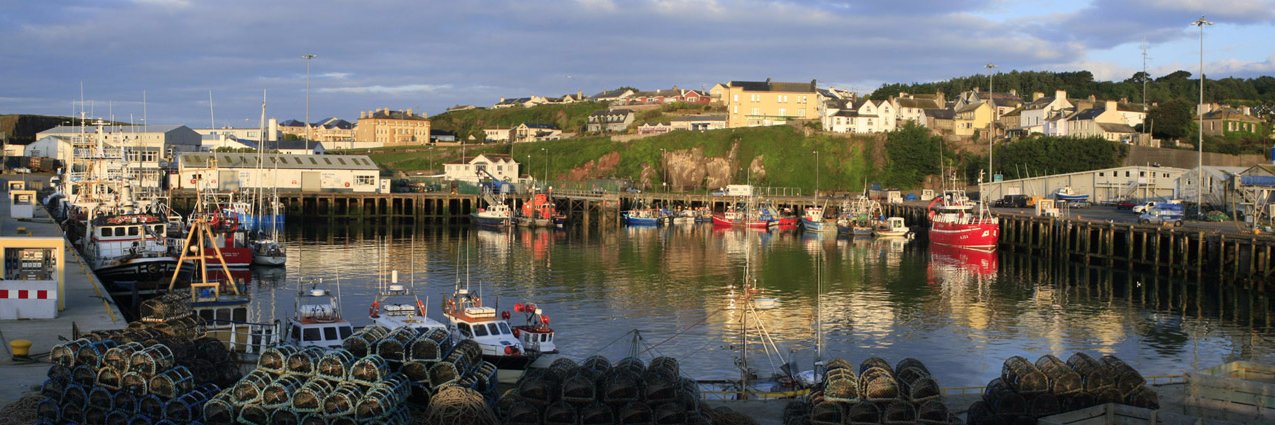 Dunmore East Tourism banner