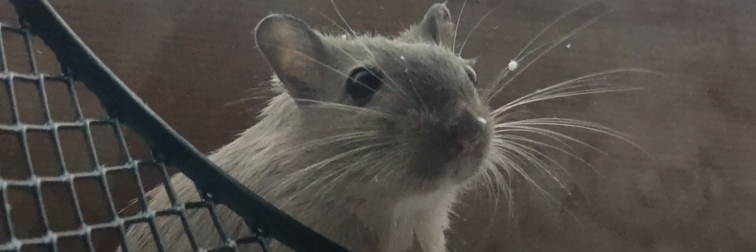 ChefGerbil's profile banner image