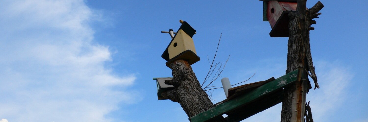thosacreed's profile banner image