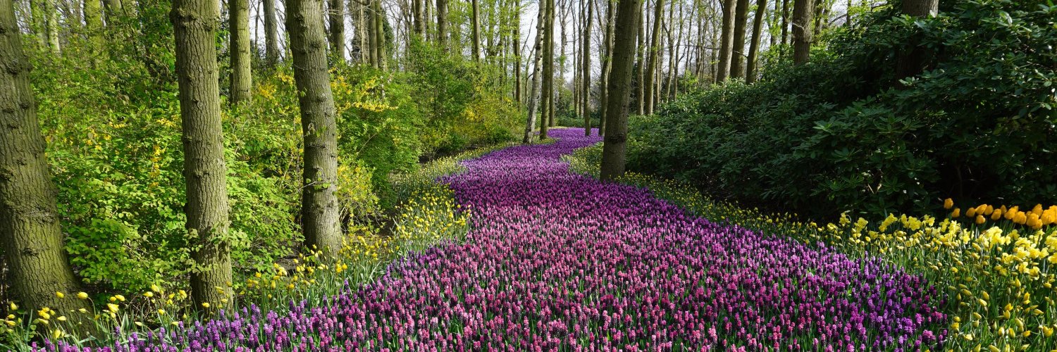 The Spiritist (Lowell) banner