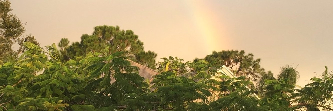 ugottom's profile banner image