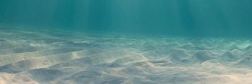 bayaksizz's profile banner image