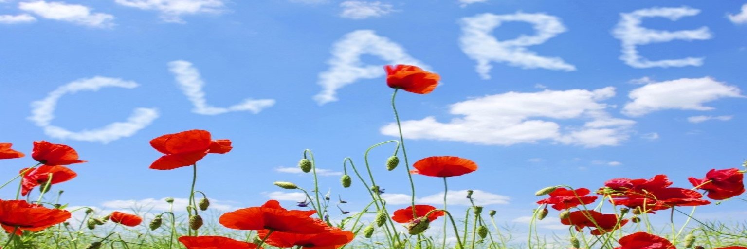CurlyClare74's profile banner image