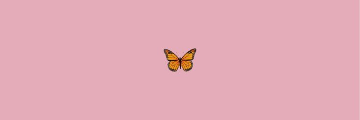 Sienna 🦋 banner