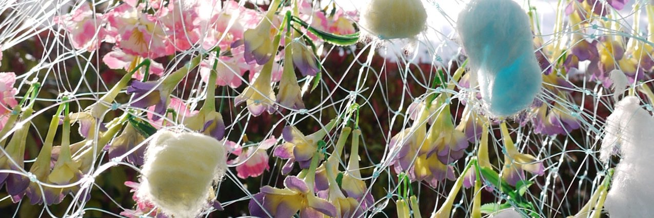 Vannessa Uhlein banner