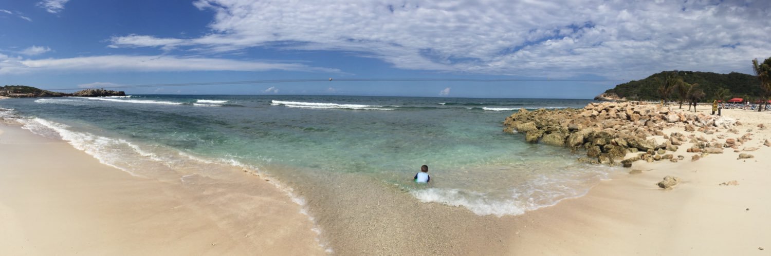 Courtney Voshell banner