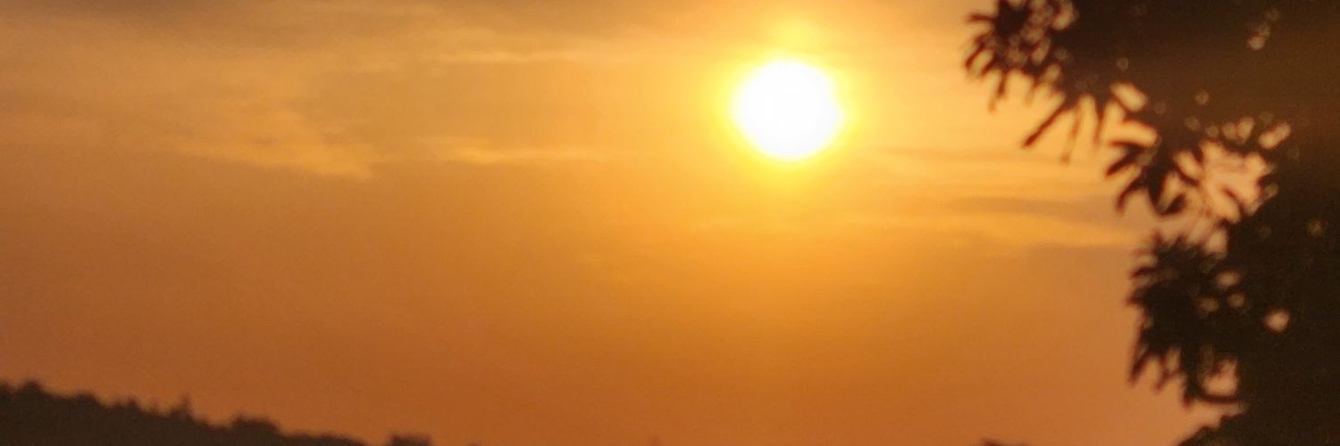 We3Free's profile banner image