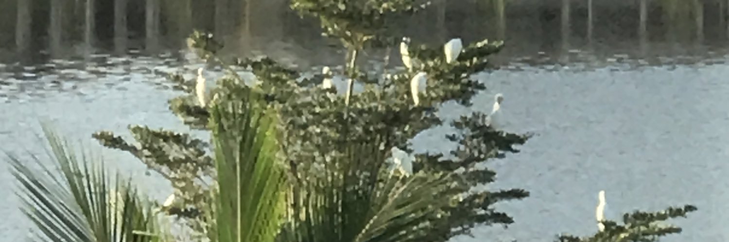 acrossd2's profile banner image