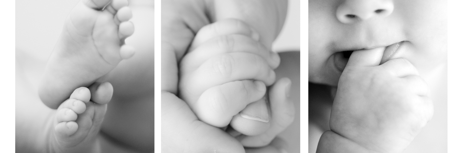 FLFertility's profile banner image