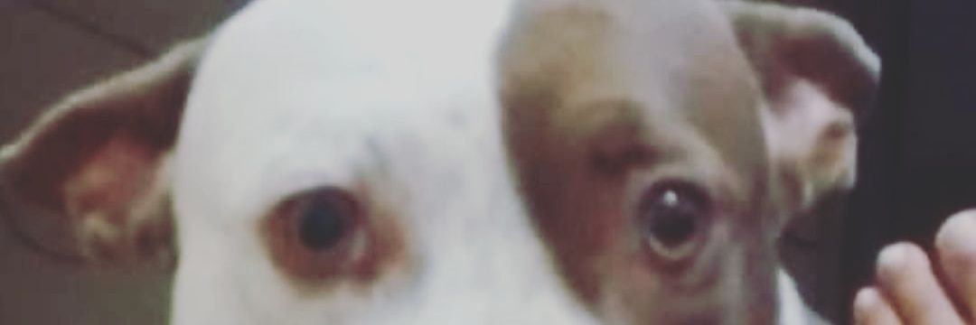 Rogeryandi's profile banner image