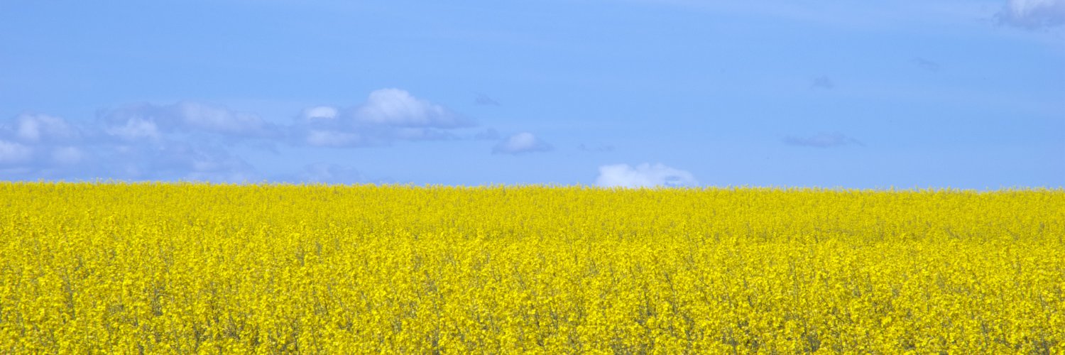 County of Stettler banner