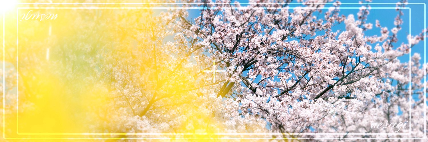 nesugi_h07c's profile banner image