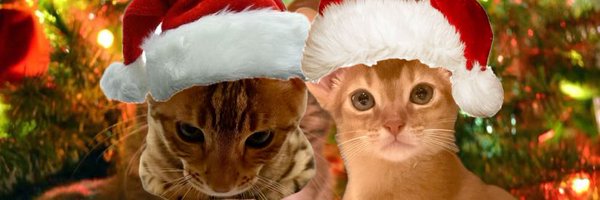 lofd97 Profile Banner