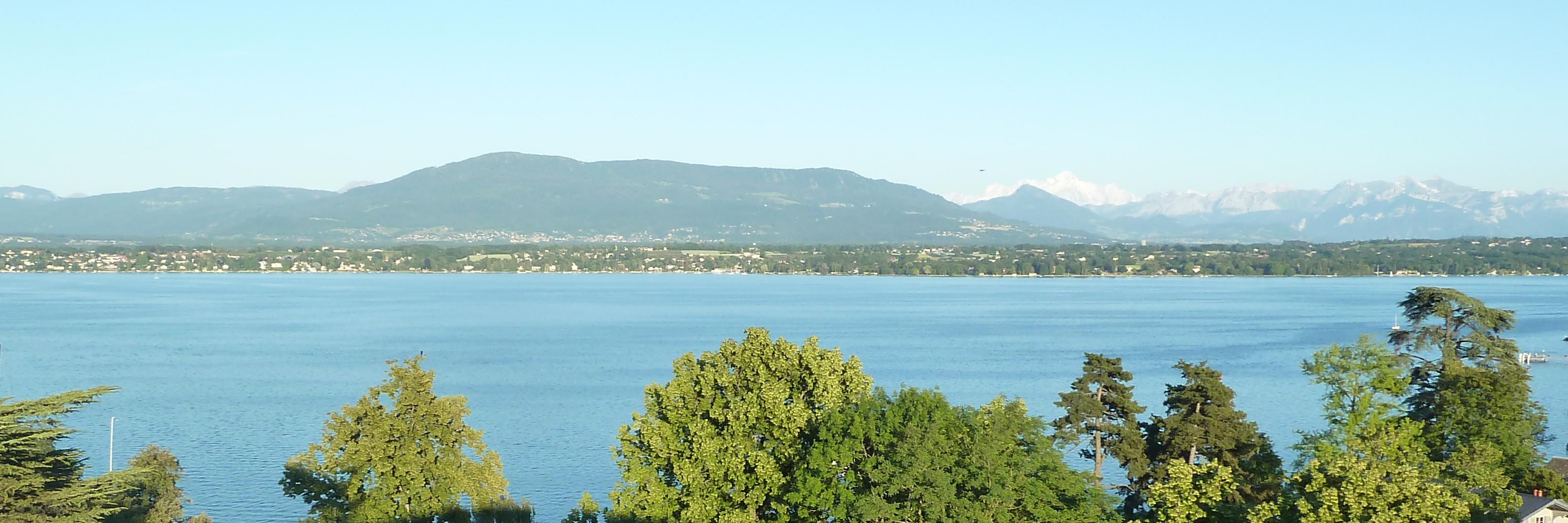 Edna DS Duisenberg banner