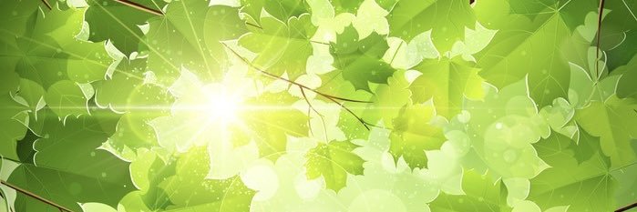 bugslittlefrogg's profile banner image