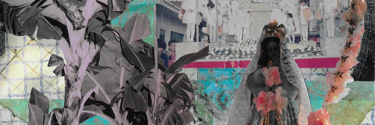 mollie tearne banner