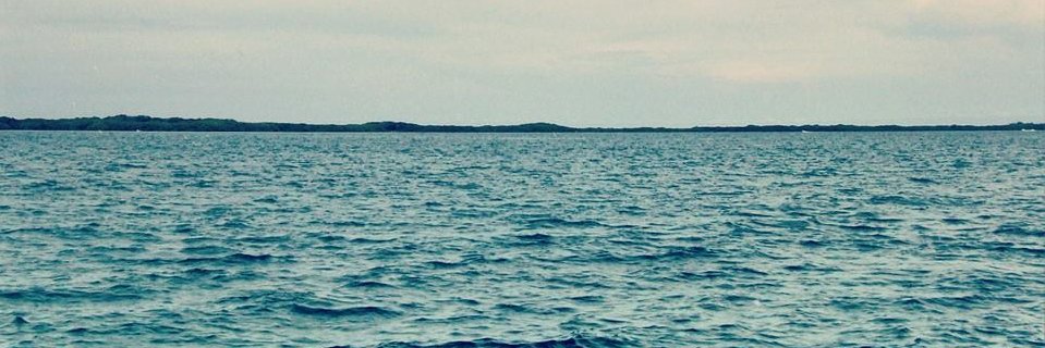 lecolmar's profile banner image