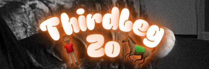 🧍🏾‍♂️/ 🐎 banner