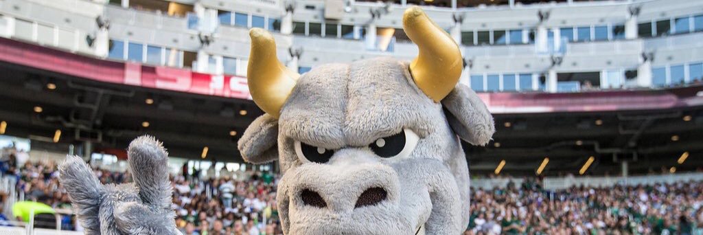 Bulliever's profile banner image