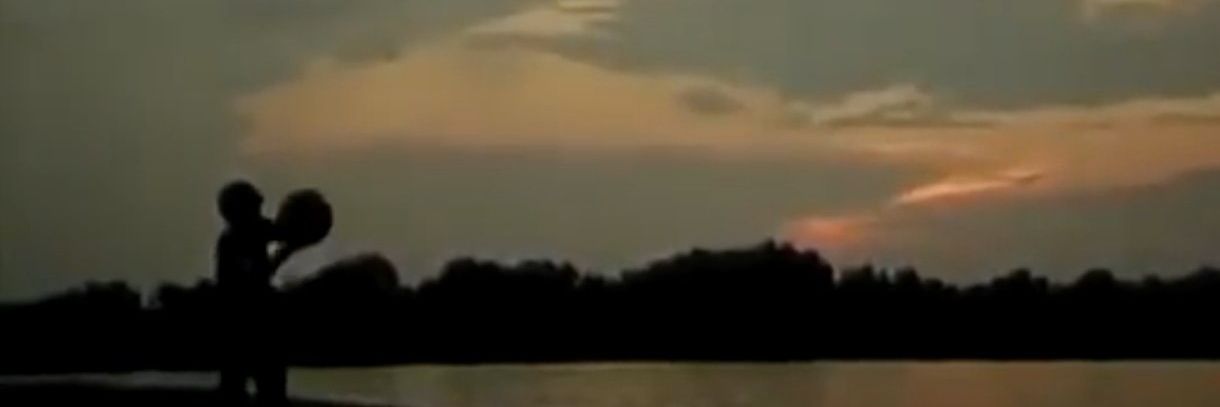 Пеђа banner