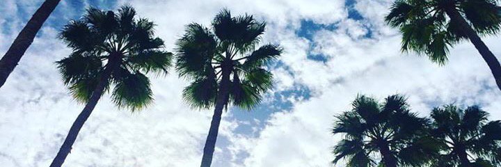 HannaMEriksson's profile banner image