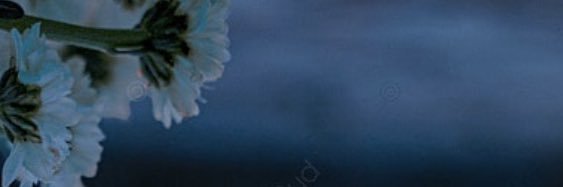 a3lyan647's profile banner image