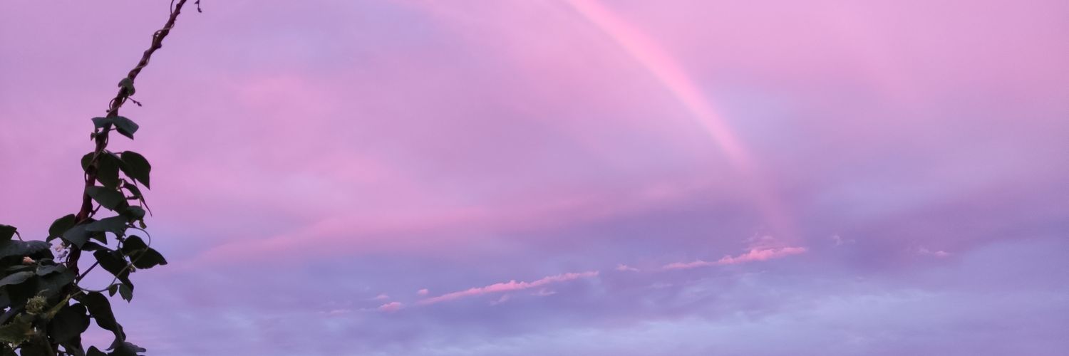 小橙子xiao_orange banner