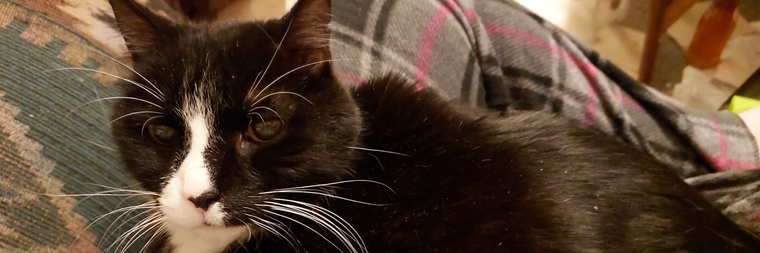 Midwest Tuxedo Cat banner