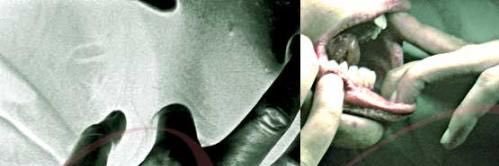 Vloke Photographer banner