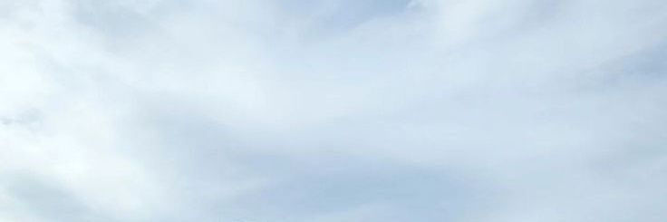 a. banner