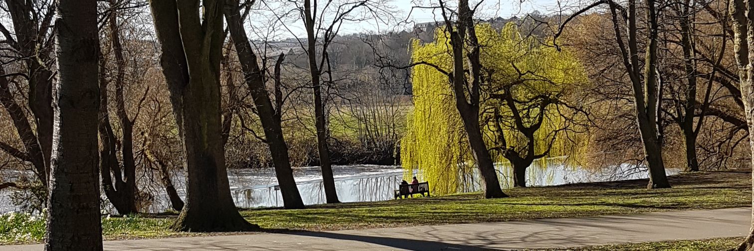 philipbramson's profile banner image