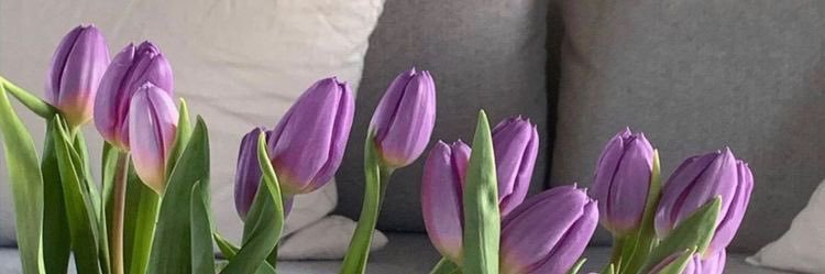 Tania Castaño banner