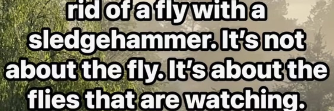 WaltzingRNLilydale's banner