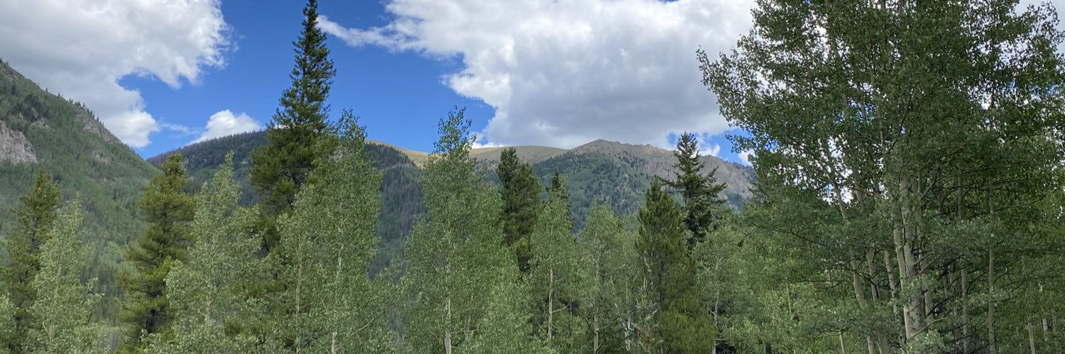 colleenandrae's profile banner image