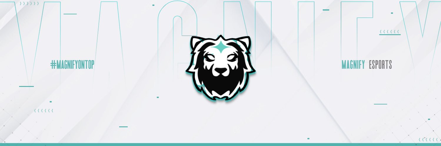 Magnify Esports banner