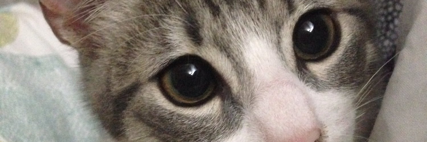 danirmoura's profile banner image