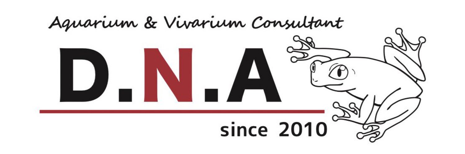 爬虫両生類 昆虫ショップD.N.A_昆虫垢 banner