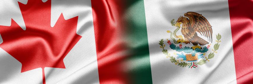 Miguel González banner