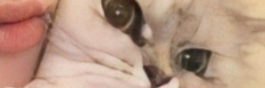 Rusteyy banner