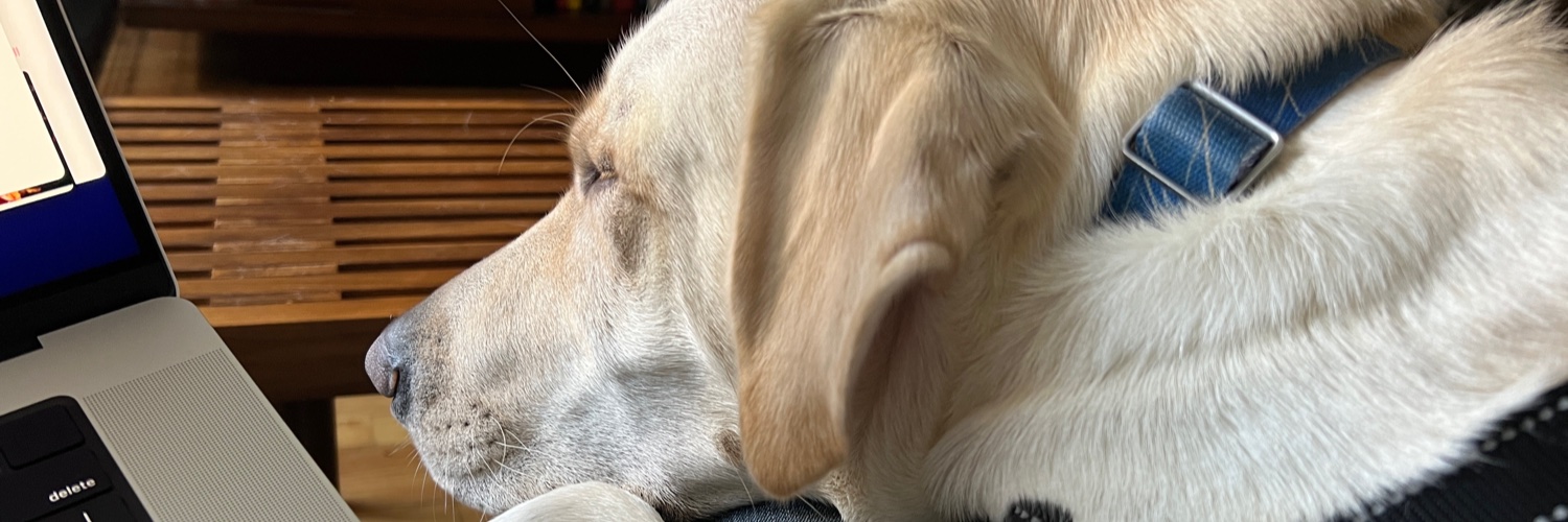 brettlarson's profile banner image