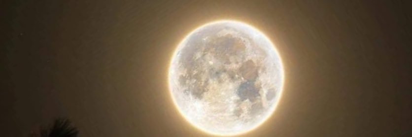 jessicamguzmanf's profile banner image
