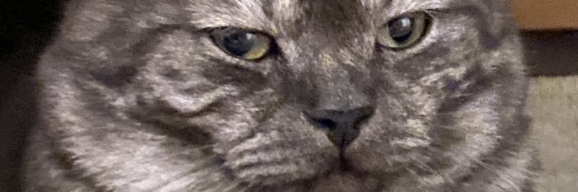 jintaradingdong's profile banner image
