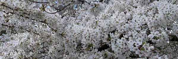 ElizabethLSmit1 Profile Banner