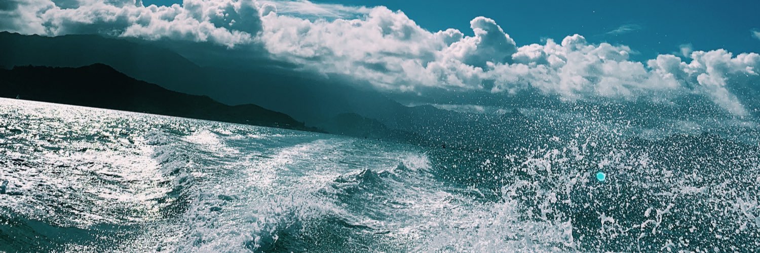 sydneyreeser's profile banner image